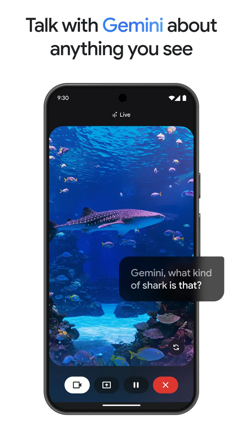 Google Gemini screenshot 3
