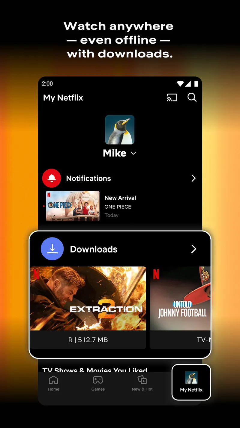 Netflix screenshot 3