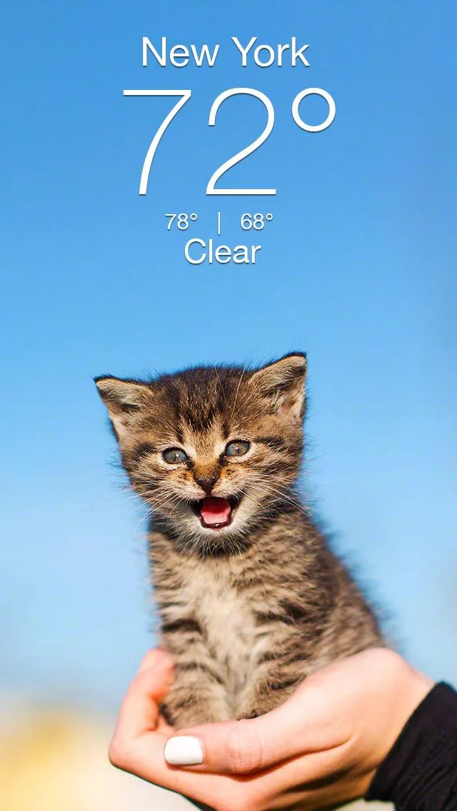 Weather Kitty - App & Widget screenshot 1